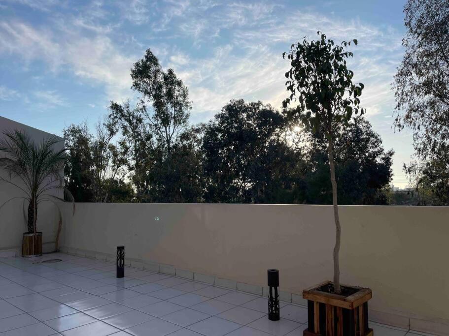 Otay Studio Great Patio Near Otay Crossing & Airport Tijuana Exterior foto